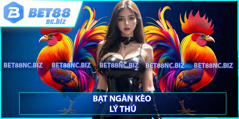 Bạt ngàn kèo lý thú