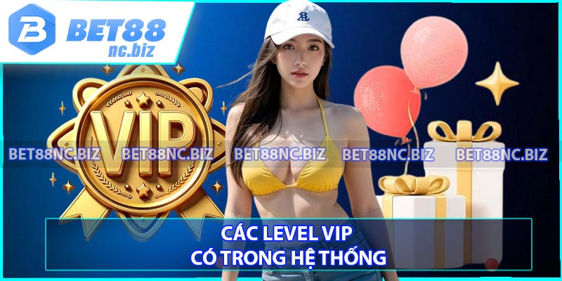 Các level VIP có trong hệ thống