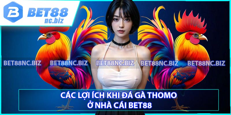 Các lợi ích khi đá gà thomo ở nhà cái BET88