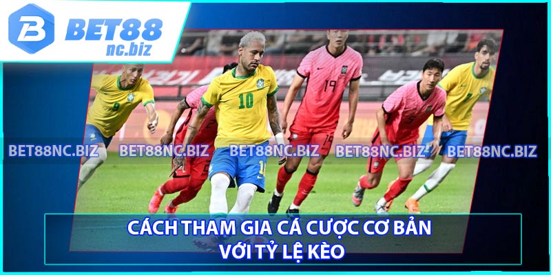 Cách tham gia cá cược cơ bản với tỷ lệ kèo