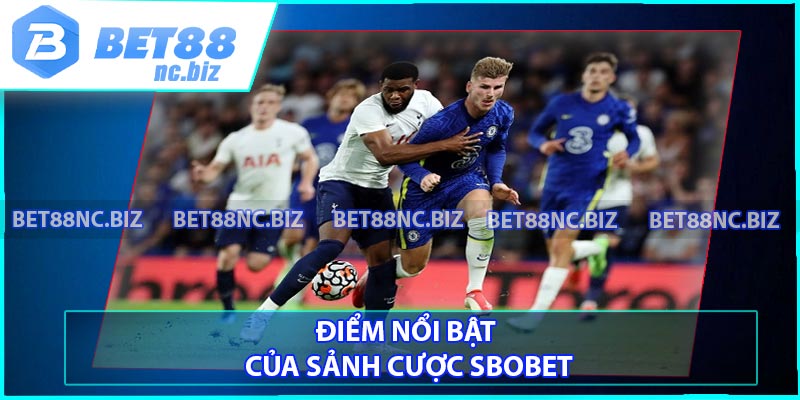 Điểm nổi bật của sảnh cược Sbobet