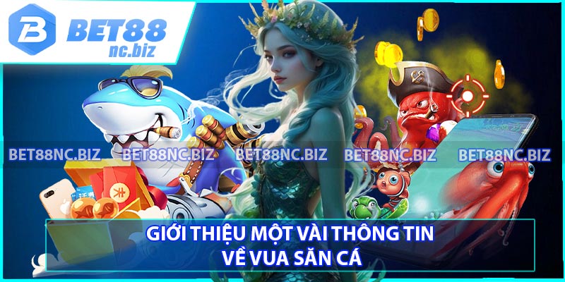 Giới thiệu một vài thông tin về vua săn cá