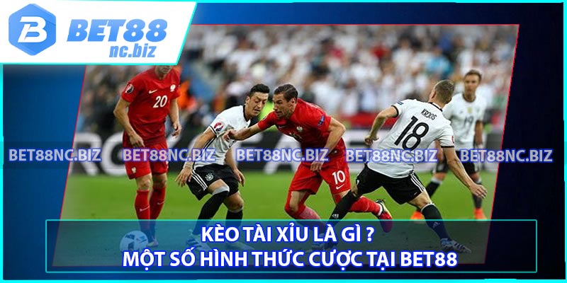 Kèo Tài Xỉu Là Gì ? Một Số Hình Thức Cược Tại BET88