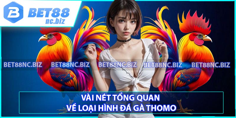 Vài nét tổng quan về loại hình đá gà thomo