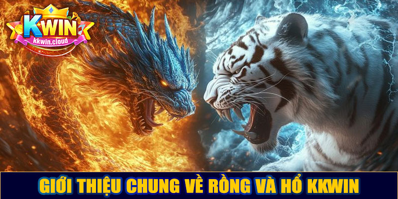 Giới thiệu chung về Rồng và Hổ Kkwin