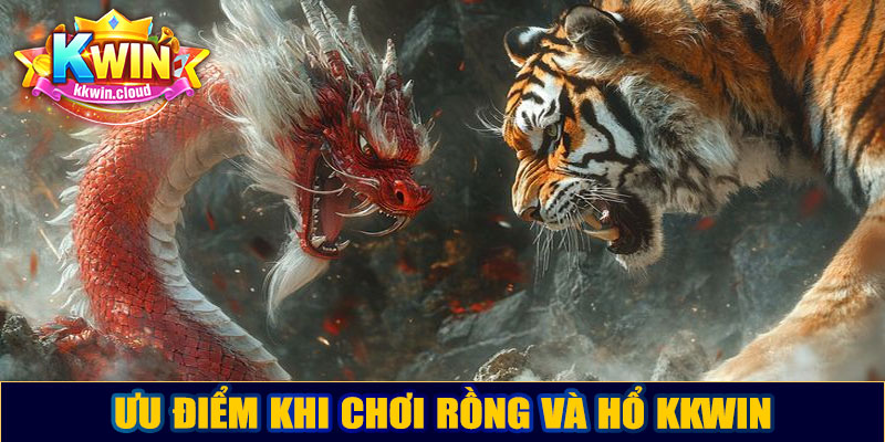 Ưu điểm khi chơi Rồng và Hổ Kkwin